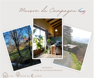 maison de campagne à la vente -   15700  PLEAUX, surface 87 m2 vente maison de campagne - UBI465546440